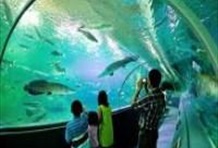 Chiang Mai Zoo Aquarium